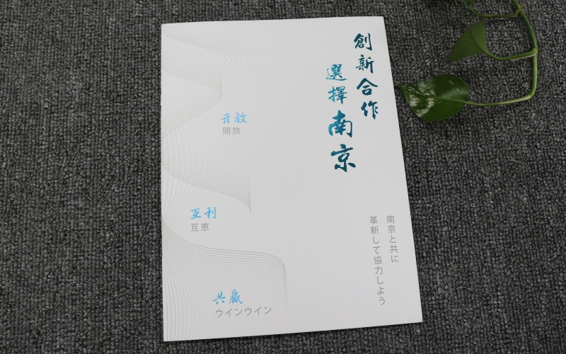 投資南京藝術(shù)畫冊印刷